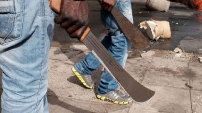 machetes1_Source Chronicle